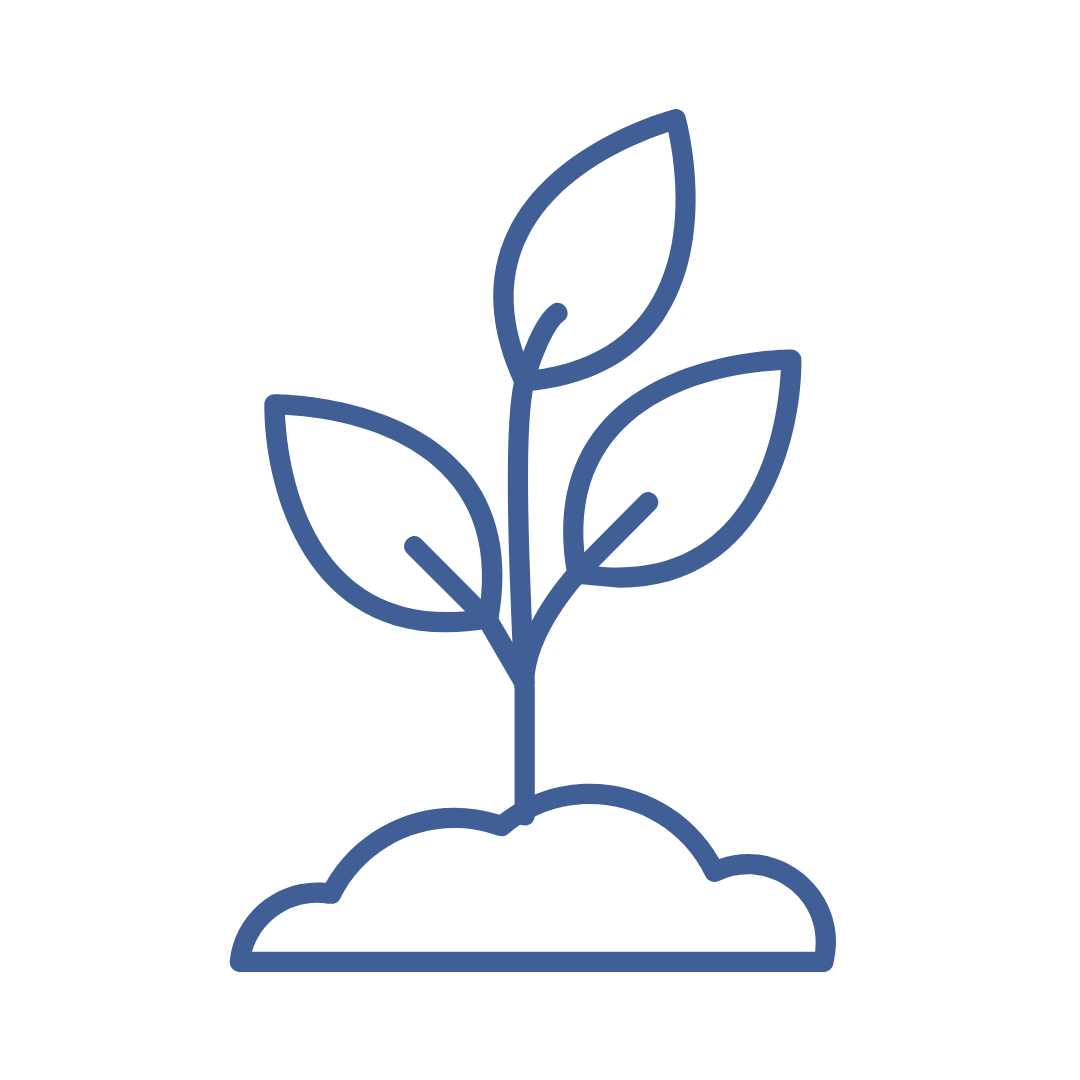 Accountability Group | The Wildflower Co. – The Wildflower Company
